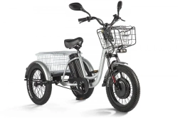 Электротрицикл Eltreco Porter Fat 700 с корзиной