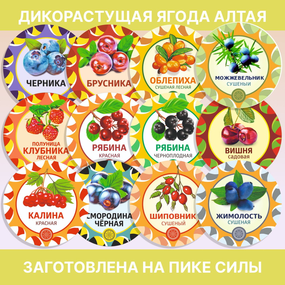 Астрагал шерстистоцветковый измельченный.