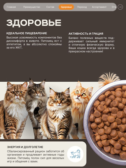 Корм сухой для взрослых стерилизованных кошек породы Мейн-кун, полнорационный комплекс, с индейкой, 400 гр, QUATTRO