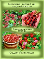 Княженика Беата арктическая малина княжья ягода