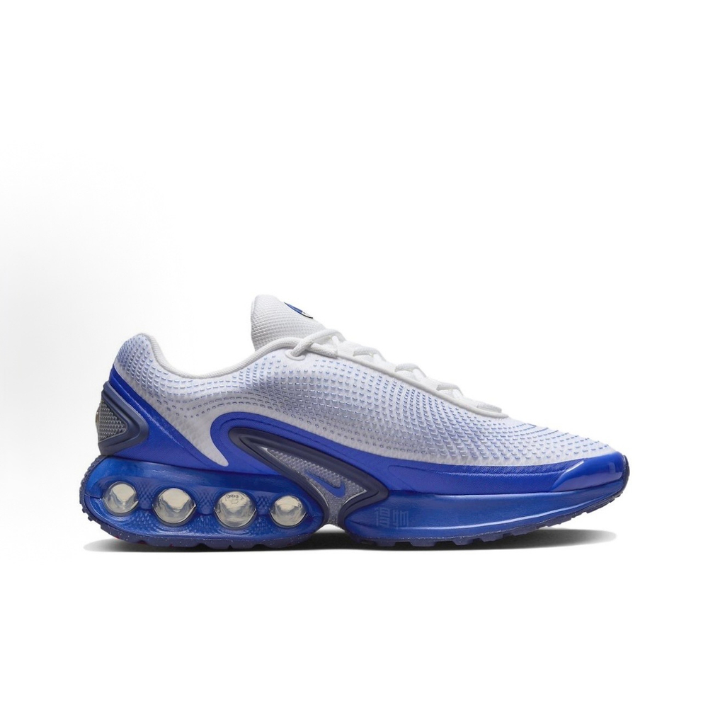 Nike Air Max DN White / Blue