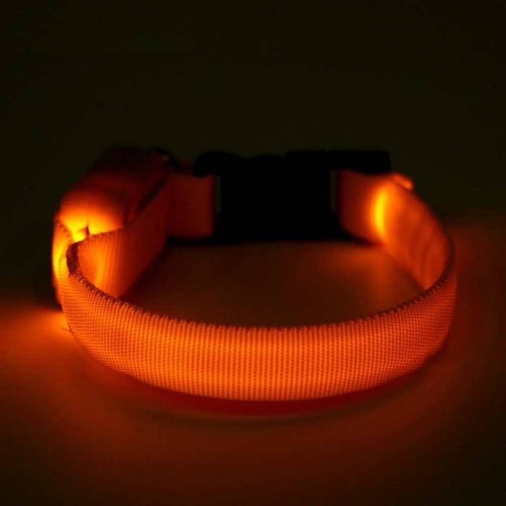 Ошейник светящийся узкий для небольших собак, 3 режима, 26см, Желтый