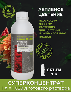 Активное цветение