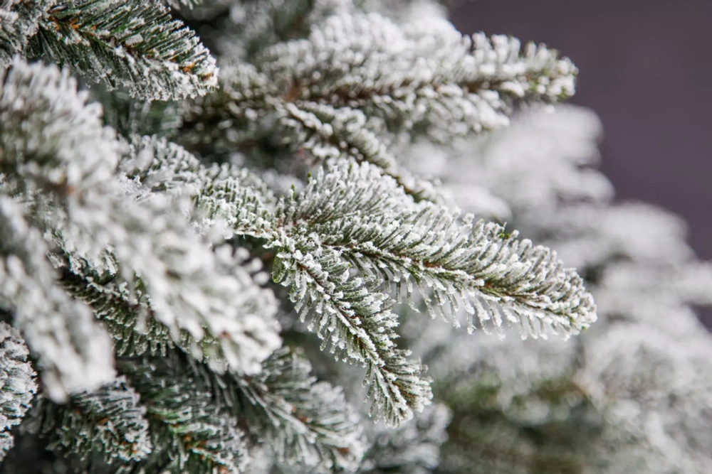 Ель искусственная Стильная заснеженная 155 см., литая хвоя+пвх, Black Box (74467)