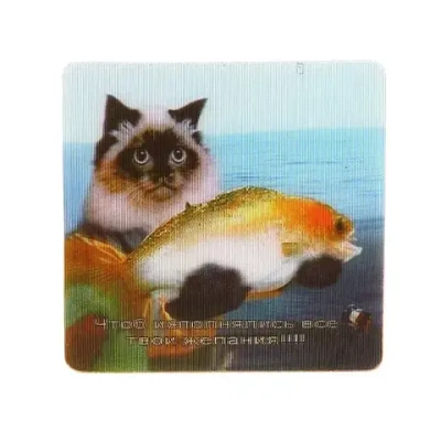 Магнит голограмма «Кот с рыбой» 60х60мм
