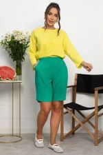 Шорты Энди (зеленые) Ш13989-25М LT Collection