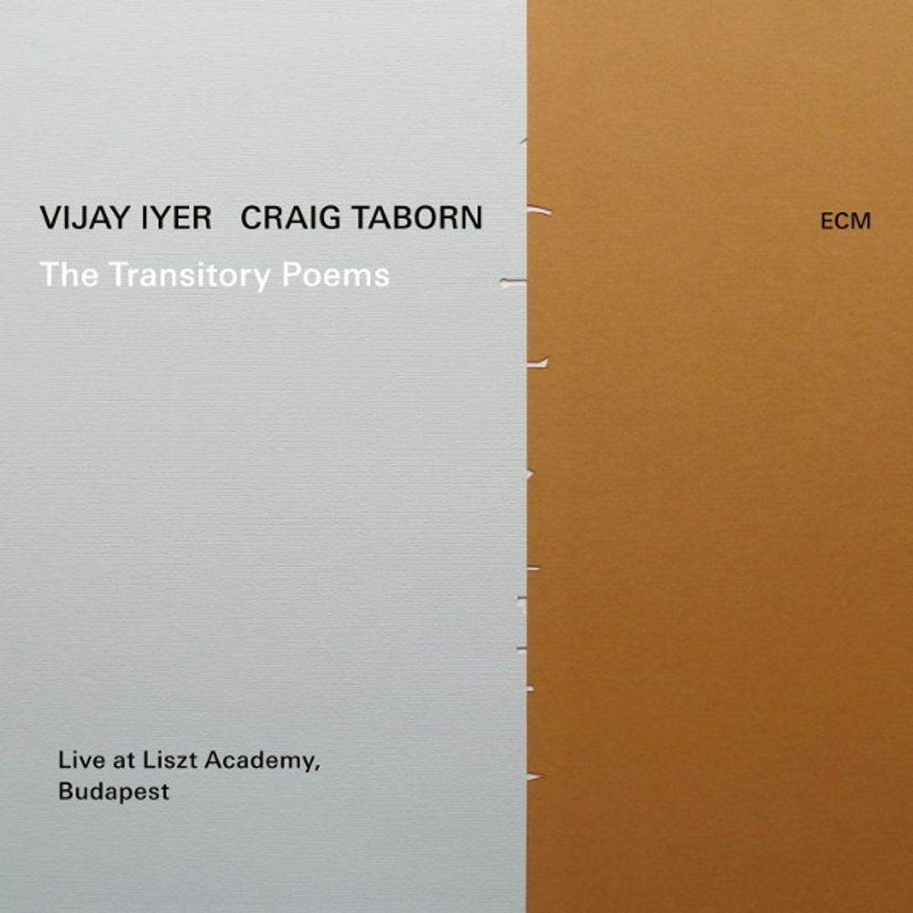 Vijay Iyer &amp; Craig Taborn / The Transitory Poems (CD)