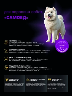 Сухой корм для собак породы Самоед, с говядиной, 2,5 кг