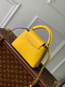 Louis Vuitton Capucines Mini