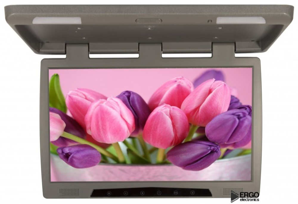 Монитор потолочный - ERGO ER20H с экраном 20” (LCD 1680x1050) серый