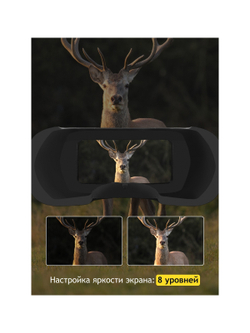 Бинокль цифровой ночного видения Levenhuk Halo 50XN GPS