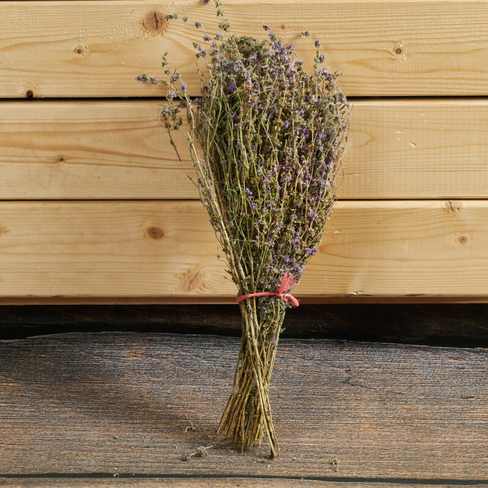 Мята горная, букет_1.jpg