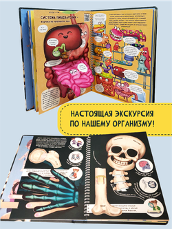 Интерактивная энциклопедия. Знакомься: твое тело