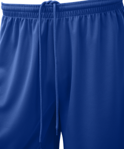 Шорты баскетбольные Camp Basic, синий, детский