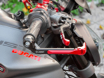 PLF03 DBK BRAKE LEVER PROTECTION