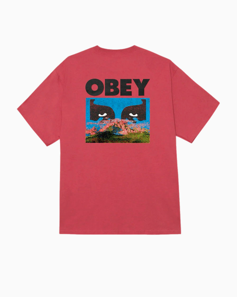 Футболка Obey In a Different Place