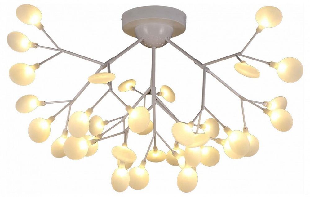 Потолочная люстра EVOLUCE Avola SLE250102-36