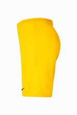 Шорты Nike Dry Park III Junior