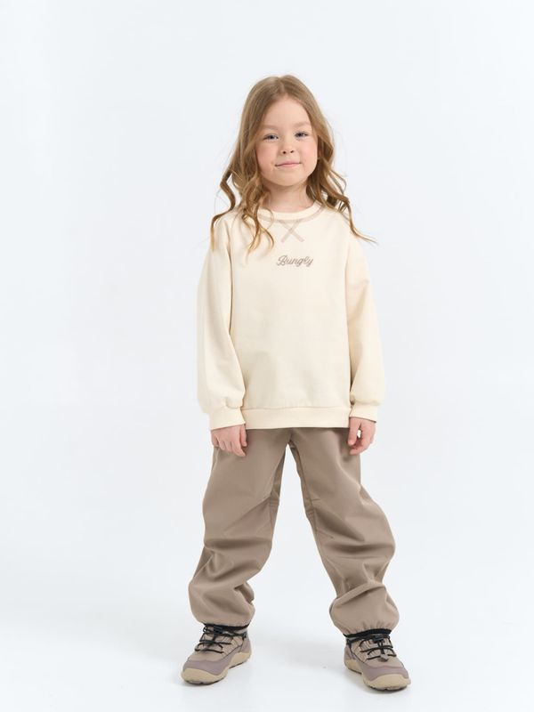 Брюки Softshell демисезонные 