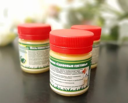 Мазь Монастырская "Здоровые суставы". Пластик 40 мл.
