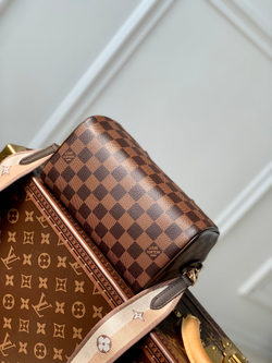 Louis Vuitton Speedy 20