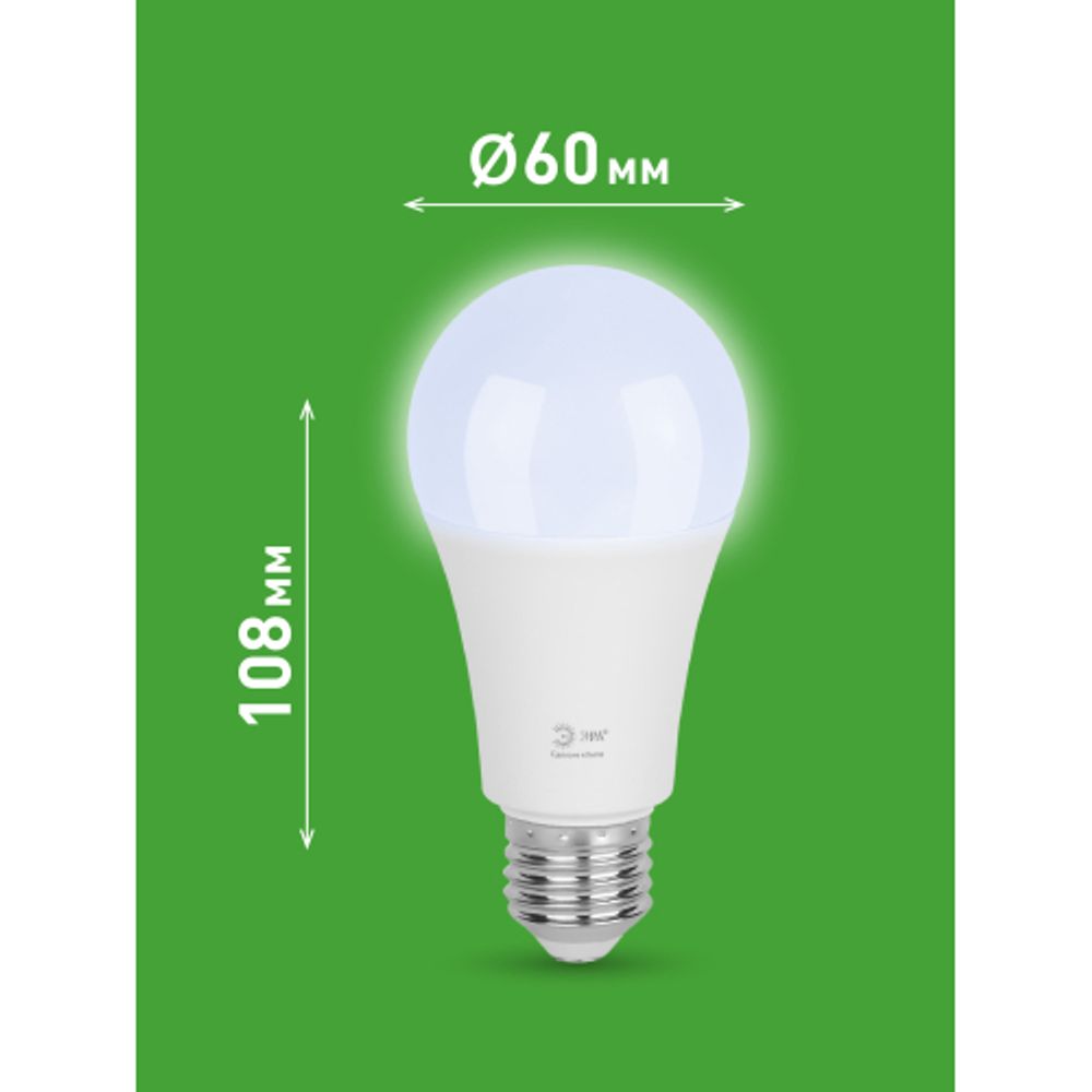 Лампа светодиодная ЭРА GREEN LINE LED A60-25W-865-E27 GL 25Вт груша холодный свет E27 | Лампы cветодиодные Груша (A)