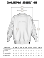 Свитшот для мальчика с принтом