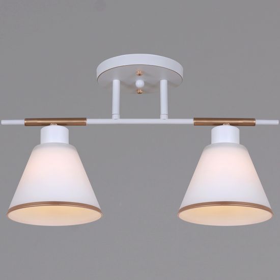 07594-0.3-02 WG светильник потолочный