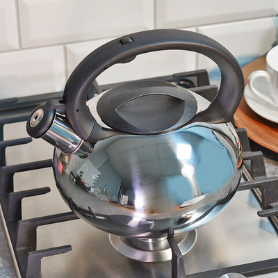 Чайник 2,5л со свистком нерж, индукция, матов/полированный