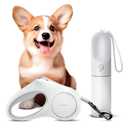 Товары для прогулки