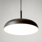 Подвесной светильник Maytoni MOD189PL-L12B3K1