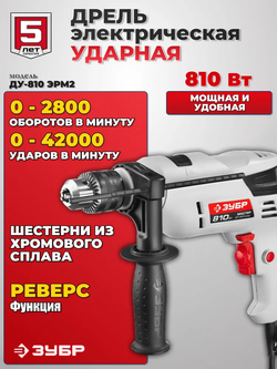 Дрель электрическая, ударная, 810 Вт.