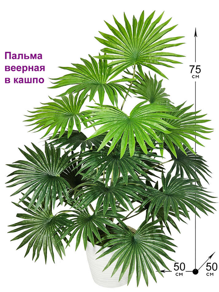 Искусственная Пальма веерная 75см в кашпо