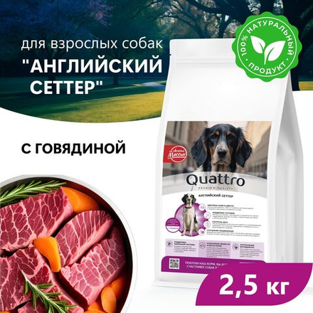Корм сухой для взрослых собак породы Английский сеттер, премиум полнорационный комплекс, с говядиной, 2,5 кг, QUATTRO