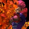 Sukuna Flame Arrow - Jujutsu Kaisen