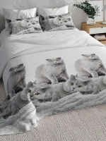 Постельное белье 1.5 Британцы СОНиЯ /1,5 взрослое детское