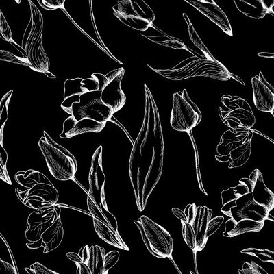 Тюльпаны 2 - белые на черном фоне