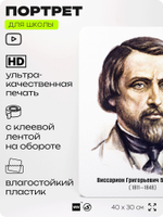 Портрет для школы в кабинет литературы и русского языка "Белинский Виссарион Григорьевич", стенд школьный для класса, для оформления классного уголка, 40х30 см, Silver Plane x Айдентика Технолоджи