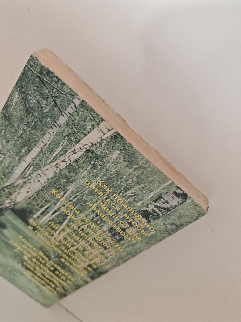 Целебное питание. Лечебное, повседневное, праздничное