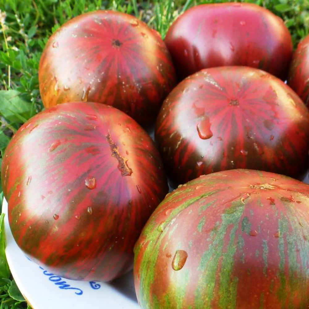 Помидоры - Pink Berkeley Tie-Dye - В стиле Тай-Дай