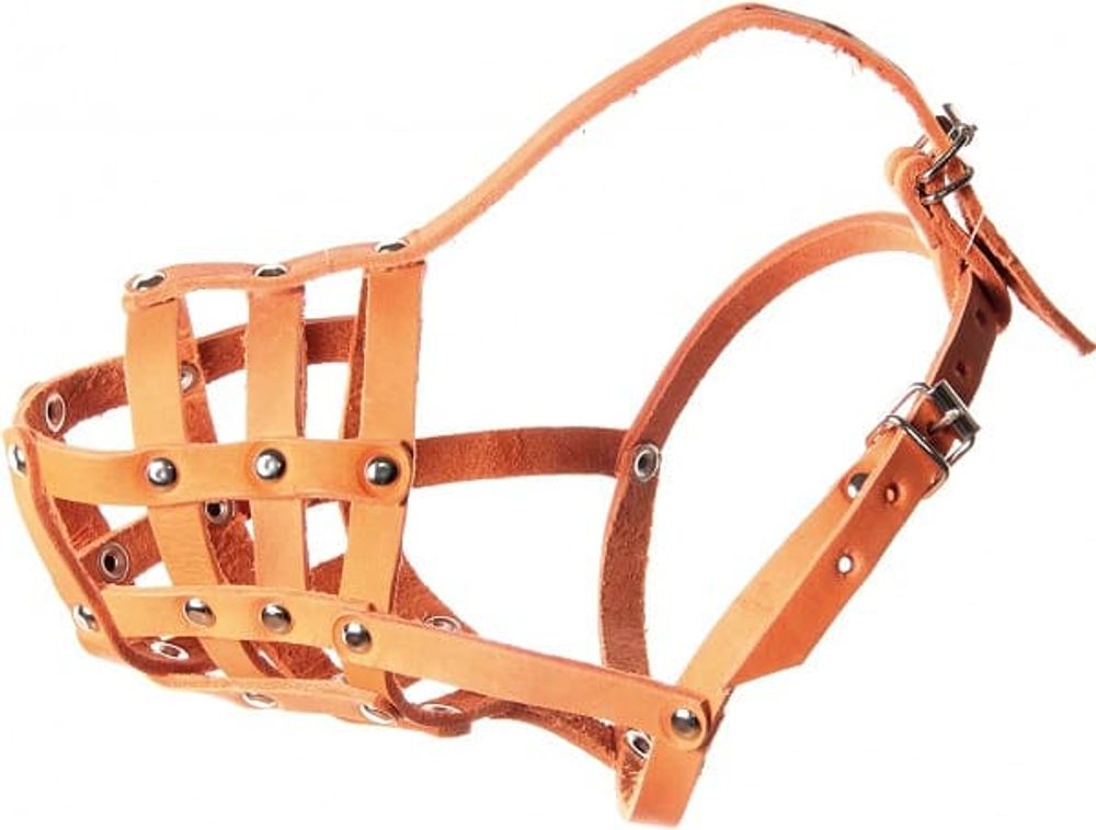 Намордник кожаный №С (стаффорд) Зооник