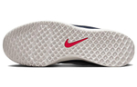 Кроссовки Nike Court Zoom Lite 3 Hc