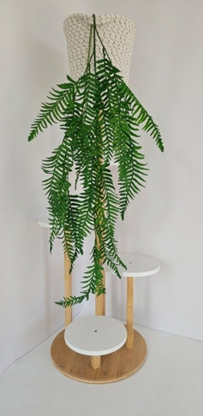 Даваллия ампельная / Арт 4402