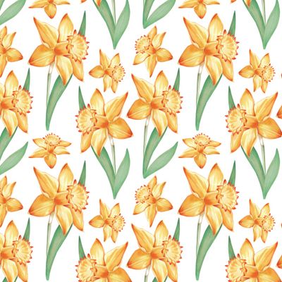 Нарциссы акварель.