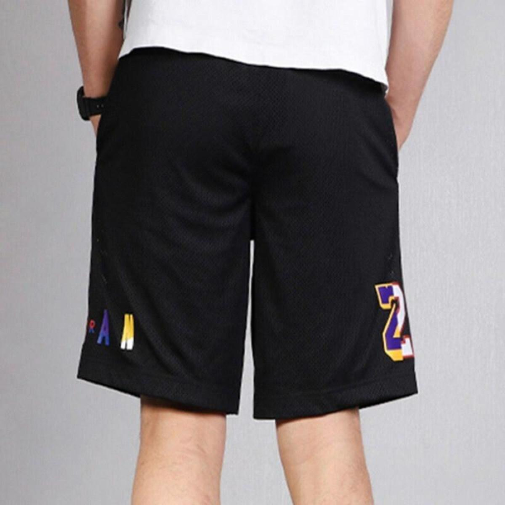 Шорты Air Jordan Washed DNA Logo, AV0115-010