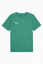 Футболка Puma teamRISE Matchday