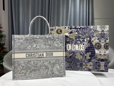 Christian Dior Book Tote 42 cm