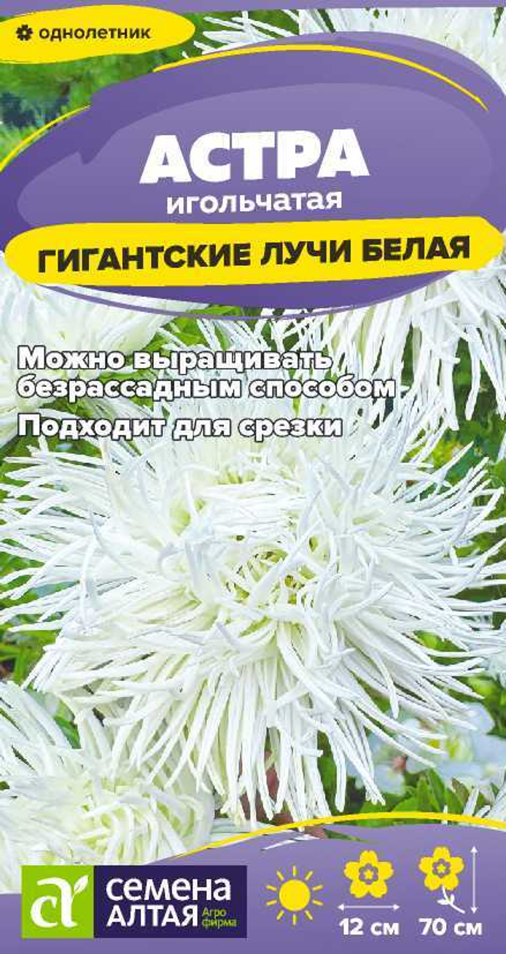 Астра Гигантские лучи Белая 0,2г Семена Алтая