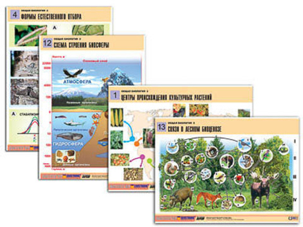 Комплект таблиц "Общая биология 2" (14 табл, формат А1)