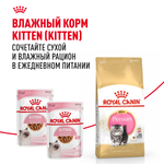 Royal Canin Persian Kitten Корм сухой сбалансированный для персидских котят 2 кг